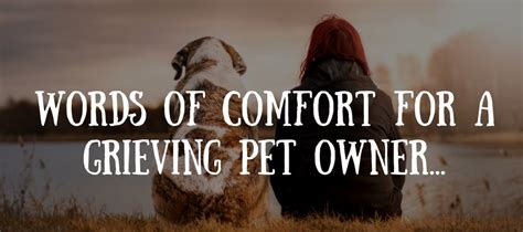 50 Beautiful Loss Of Pet Quotes Love Lives On