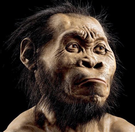 Homo naledi is an extinct species of human discovered in rising star cave in south africa in 2013 ce in what has become the biggest homo naledi were short and small, with small skulls, and skeletons showing a mixture of features, some resembling the. Aufgabe Abitur Homo Naledi : Hirn Und Schadel Entwickelten Sich Unabhangig Voneinander Nachricht ...