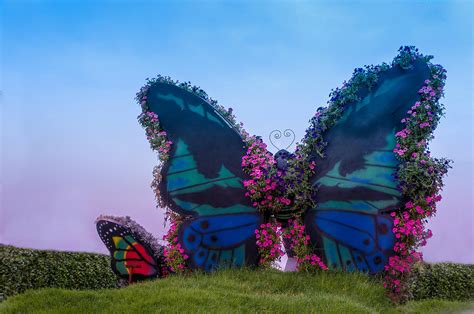 Butterfly Garden Dubai Photograph By Art Spectrum