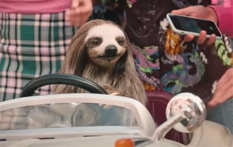 Killer Sloth Horror Comedy “slotherhouse” Gets First Trailer