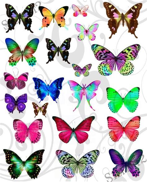 Fantasy Butterflies Collage Sheet 1fb You Will Get A Jpeg Etsy