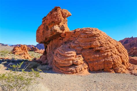 Guide To Valley Of Fire State Park Nevada Travel To Blank Walking Guide