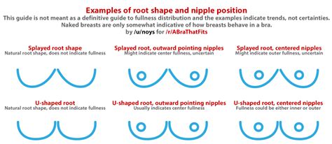 When looking at bra sizes, many women use cups for measurements. Bra Fitting Graphics - What Bra Sizes Look Like