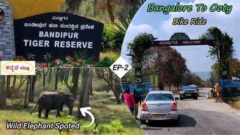 Bandipur National Park Madumalai Tiger Reserve Bandipura Tiger Reserve Kannada Travel Vlog
