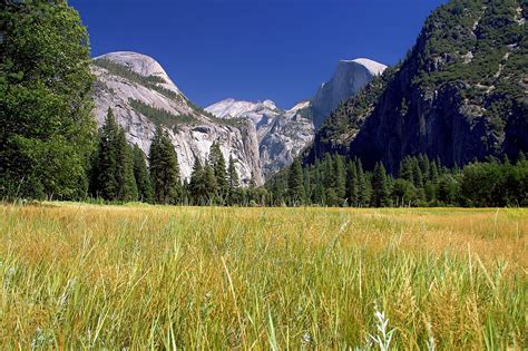 400 Free Yosemite National Park And Yosemite Images Pixabay