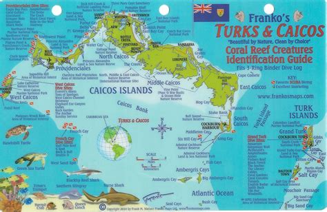 Turks Caicos Dive Map Reef Creatures Guide Franko Maps Laminated