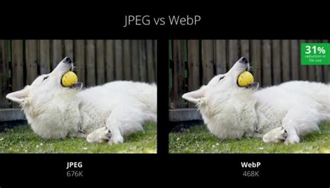 By image quality enter target file size enter target file size percentage compress losslessly select how do you want to compress jpeg. What Is a WebP Image and How Can You Save It? - Make Tech ...