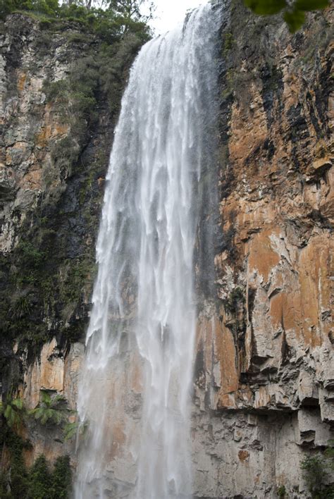 Purling Brook Falls Waterfall In Springbrook National Park Thousand