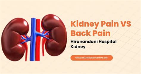 Kidney Pain Vs Back Pain How To Tell The Difference Hiranandani