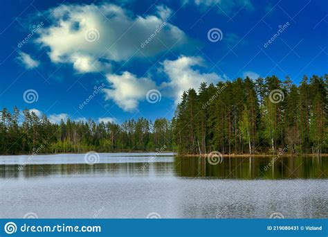 Pine Trees On The Shore Of The Lake Against The Background Of Sky With