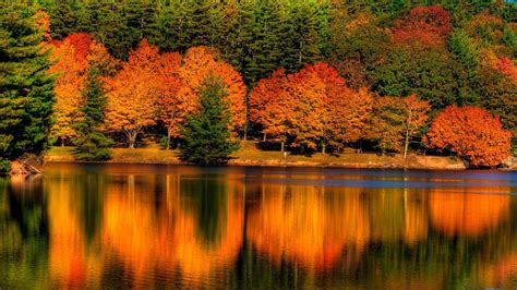 Colorful Autumn Leafed Trees Reflection On Calm Body Of Water During