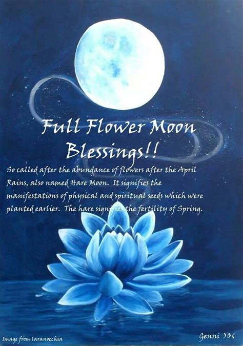 Full Moon Blessings Quotes Quotesgram