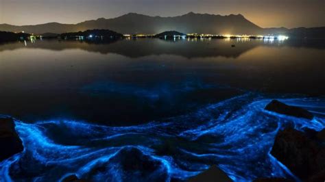 Fluorescent Algal Bloom Gives Waves An Eerie Glow Nz