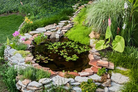 Choose your pond type & size. How to Build a Backyard Pond | Blain's Farm & Fleet Blog