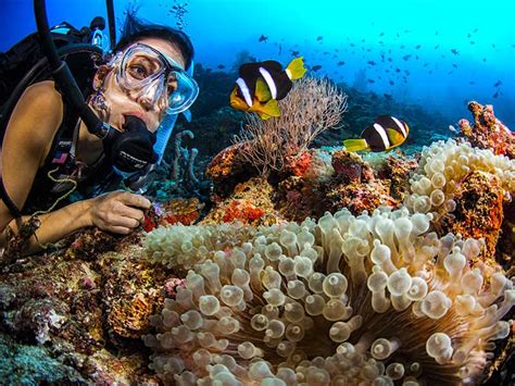 Plongée Avec Ocean Dive And Sports à Dusit Thani Plongée Baa Atoll