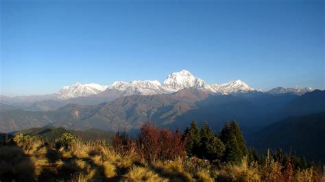Annapurna Panorama Trek Nepal Trekking Trekking In Nepal 2019 Trek