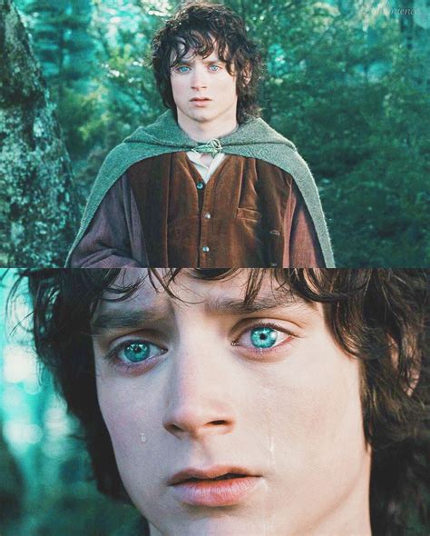 Frodo Baggins The Hobbit Frodo Baggins Gandalf The Grey