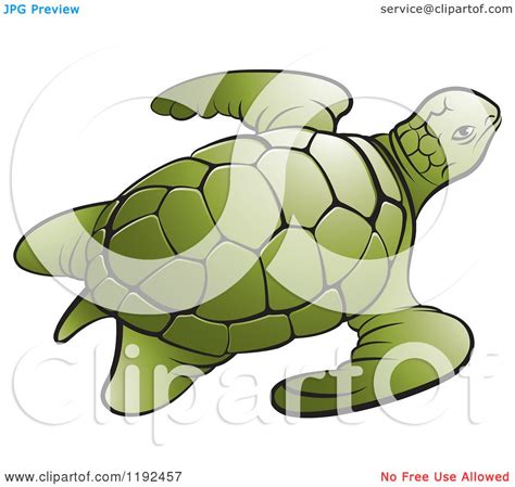 Clipart Of A Green Sea Turtle Royalty Free Vector Illustration By Lal
