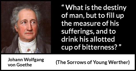 Johann Wolfgang Von Goethe What Is The Destiny Of Man But