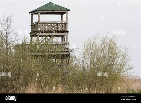 Tower Control Tower To Watch Observe Bird Wildlife Stock Photo Alamy