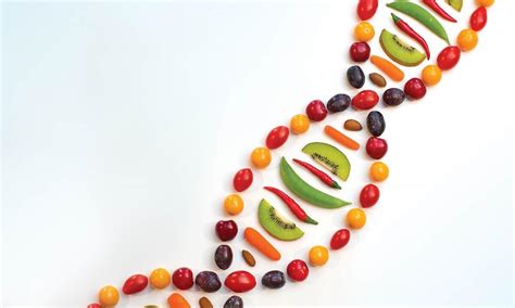 ¿qué Es La Nutrigenética Y Que Relación Tienen Los Alimentos Con Los Genes
