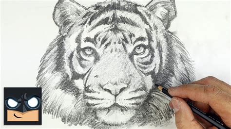 How To Draw Tiger Youtube Studio Sketch Tutorial Youtube
