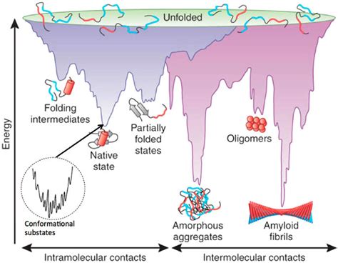 Using Chirality To Probe The Conformational Dynamics And Assembly Of