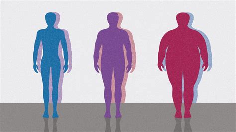 Body Mass Index Bmi Numbers And Obesity Levels Everyday Health