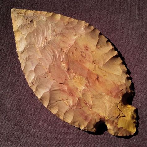 5 18 Turkeytail X Starr Museum Tennessee Arrowhead Authentic Indian