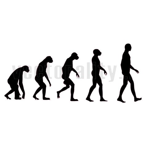 Evolution Of Man Vector At Collection Of Evolution Of