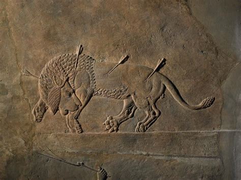 Assyria Lion Hunts British Museum