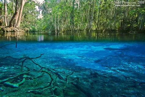 Crystal River Florida | Places I Love | Pinterest | Crystal river