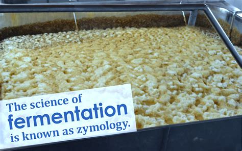 In biochemistry, it is narrowly defined as the extraction of energy from carbohydrates in the absence of oxygen. What is Fermentation