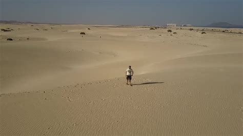 Man Sliding Down Desert Sand Stock Footage Video 100 Royalty Free