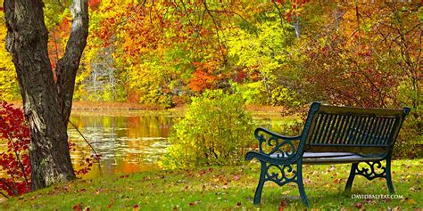Autumn Bench Connecticut • David Balyeat Photography Autumn Scenery