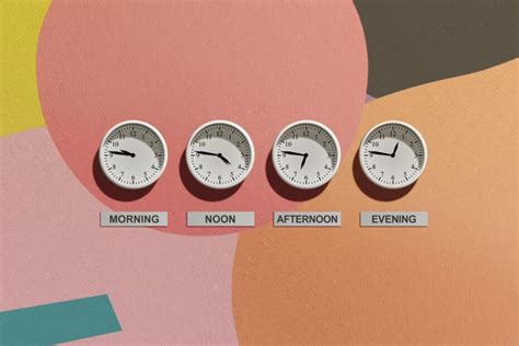 About Chronotypes