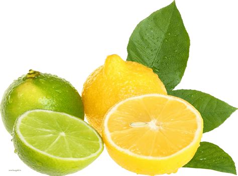 Lemon And Lime Png Free Logo Image