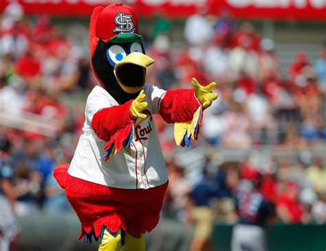 Baseball Mascots Show Off Their Moves Abc News