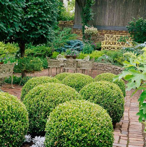 Boxwood Better Homes And Gardens
