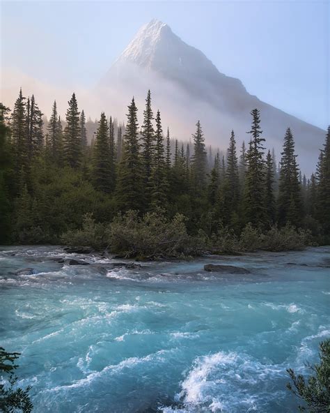 Morning On The Robson River In British Columbia Oc 2914 X 3642 R