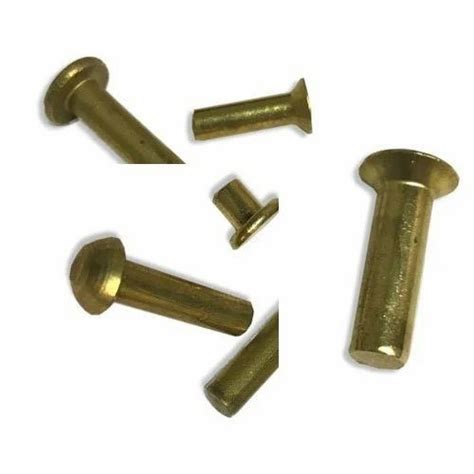Brass Snap Head Solid Rivets At Rs 1piece Brass Rivet In Bengaluru