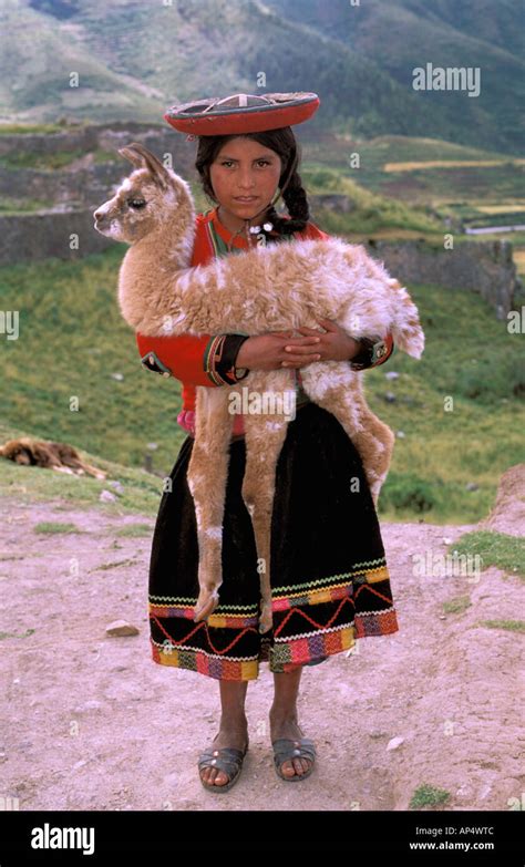 South America Peru Cusco Indian Girl With Llama Lama Glama Stock