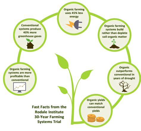 How Organic Farming Strengthens Global Food Security Primal Group