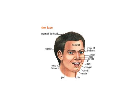 Face Noun Definition Pictures Pronunciation And Usage Notes