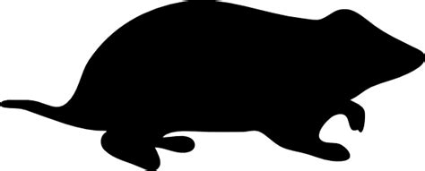 Hamster Silhouette Clip Art At Vector Clip Art Online