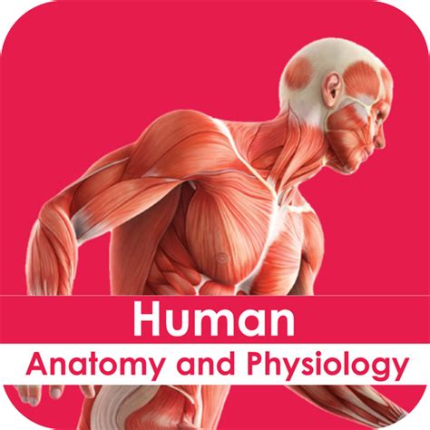 Human Anatomy And Physiology For Android Medical App