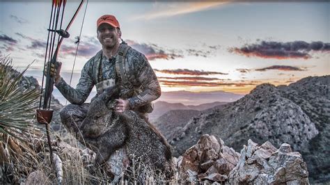 Archery Javelina Hunt Arizona Youtube