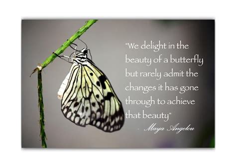 We are only as blind as we want to be. we need much less than we think we need. we delight in the beauty of the butterfly, but rarely admit the changes it has gone through to achieve that beauty. if you don't like something, change it. Postcard Quote -Maya Angelou- "We delight in the beauty of a butterfly but rarely admit the ...