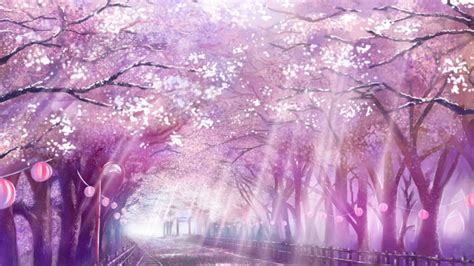 2560x1440 Anime Landscape Scenic Sakura Blossom Cherry Path