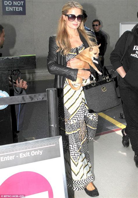 Paris Hilton Carries Her Chihuahua Through Customs After Jetting Into Los Angeles Daily Mail